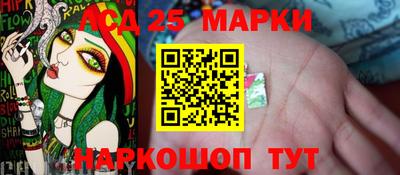 гидропоника Жуковский