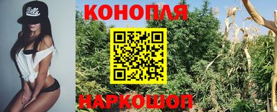 тгк Заводоуковск