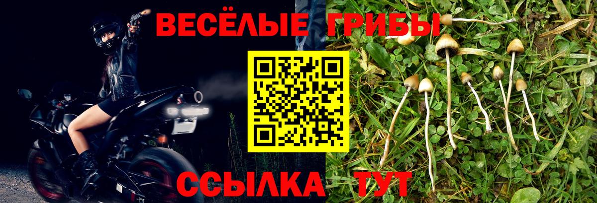 Галлюциногенные грибы Magic Shrooms  Вход с VPN  Галлюциногенные грибы Psilocybe  как найти закладки  Майкоп 